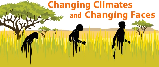 How climate shaped human evolution image