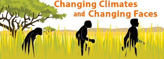 How climate shaped human evolution image